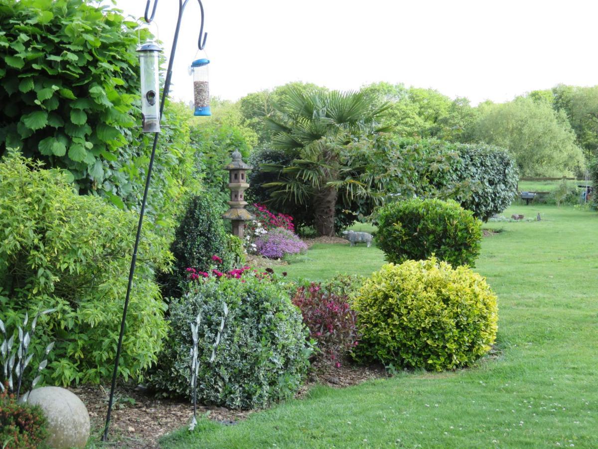 Acer Lodge Bed & Breakfast Mundford Bagian luar foto