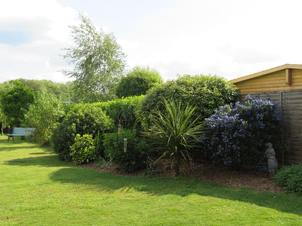 Acer Lodge Bed & Breakfast Mundford Bagian luar foto